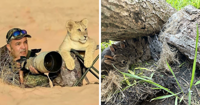 You’ve Probably Seen Enough Horrible Things Today, Here Are 50 “Eye Bleach” Pics To Restore The Balance (New Pics)