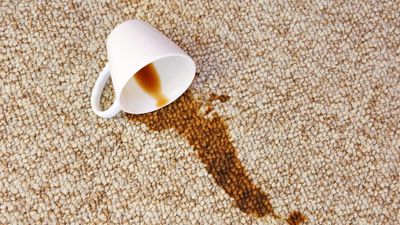 Spilled coffee on your carpet and panicking? Here's how to fix it