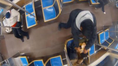 Chicago Train Fire Suspect With 70 Arrests Was Freed on Probation — Then Allegedly Set 26-Year-Old on Fire