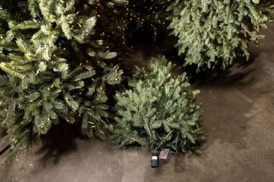 Your Christmas tree may be pricier this year—but there are ways to get a deal