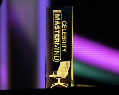 ‘I still get humiliated’: the perils of appearing on a celebrity gameshow