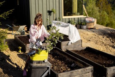 Why Cardboard Mulch Might Be the Secret Weapon Your Soil Needs