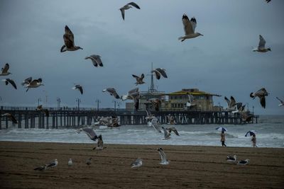 Santa Monica’s shine has dimmed – can a bold reset revive the beach city’s fortunes?