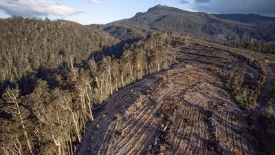 D-day looms for nature overhaul but final deal elusive