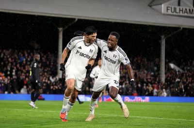 Fulham 1-0 Sunderland: Raul Jimenez the match-winner as Cottagers sink high-flying Black Cats