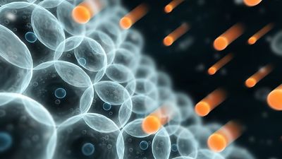 Are free radicals really that bad for you?