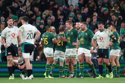 Cards, chaos and carnage: How South Africa secured wild win over Ireland