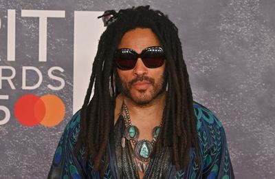 Lenny Kravitz had four dreadlocks ripped out of head by fan in Australia
