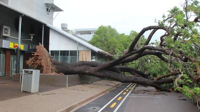 Residents glad to see back of tree-felling cyclone Fina