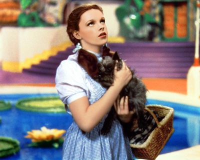 Wicked forever: the enduring appeal of The Wizard Of Oz