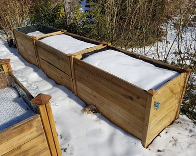 The Lazy Gardener’s Trick for Keeping Raised Beds Fertile All Winter