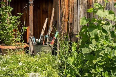 Why Now Is the Time to Sharpen, Oil, and Store Your Garden Tools