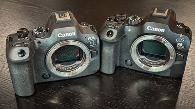 Sort it out, Canon – if I'm paying $2,800 for a camera, I expect these basic features!