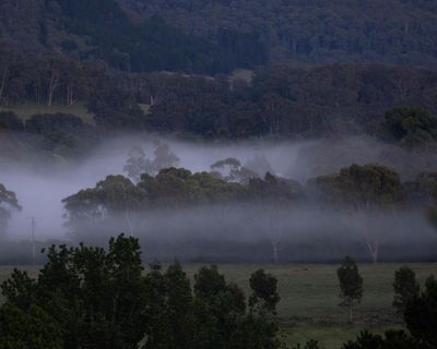 Morning Mail: The unanswered Dezi Freeman questions; anger at ATO’s outsourced call centres; Europe’s radical Ukraine peace plan