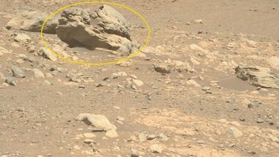 Odd-looking rock on Mars is totally alien to the Red Planet, Perseverance rover finds