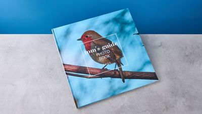 Mixbook Photo Book review