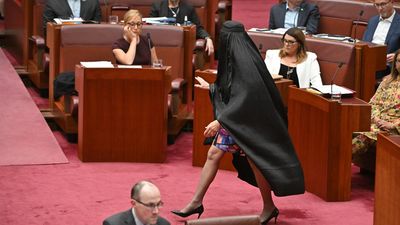 'Racist': Hanson condemned for reprising burqa stunt