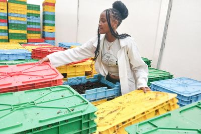 All the world loves a larva: the ‘amazing’ maggots at the centre of an agricultural revolution