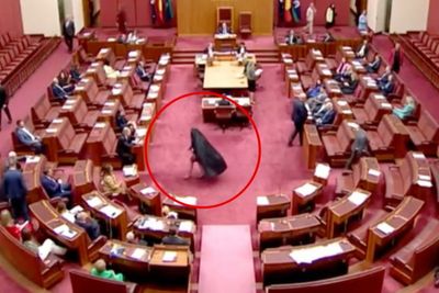 Video: Australian far-right senator wearing burqa in parliament sparks outrage