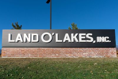 Why 90% of decisions don’t reach this Land O’Lakes exec’s desk