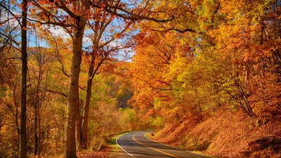 America’s 50 Most Affordable Places To Retire and Enjoy All Four Seasons