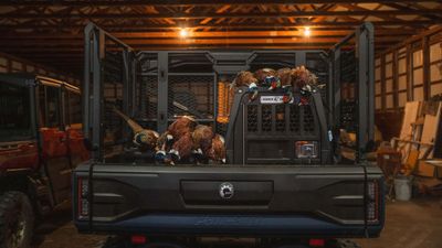 A First-Timer's Pheasant Hunt Shows Where the Wild Things Are