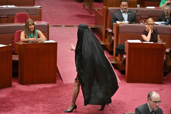 Australian Senate suspended as far-right politician wears burqa sparking outrage