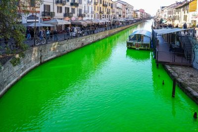 Greta Thunberg banned from Venice after activists dye Grand Canal bright green in protest