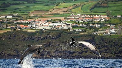 Ryanair threatens to cut all Azores flights from 2026. Here’s how it could affect your holiday