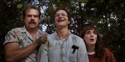 Stranger Things: the maddest fan theories and predictions for the final season plot twists