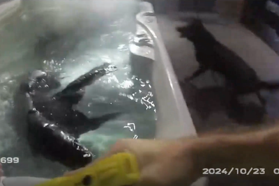 In hot water: Car thieves hide in hot tub after crime spree