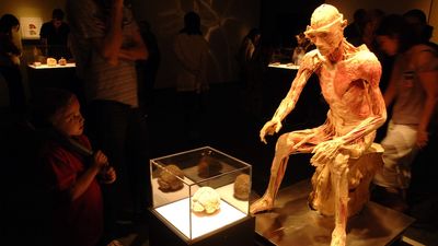 Texas mom convinced she saw her late son’s remains on display at human physiology museum exhibit