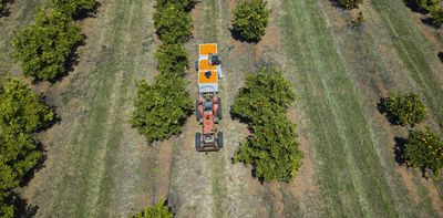 Australia’s new National Food Council: lots of industry reps, at the cost of health and environment