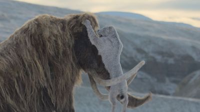 Woolly mammoths fight off attacking saber-toothed cats in stunning new 'Prehistoric Planet' clip