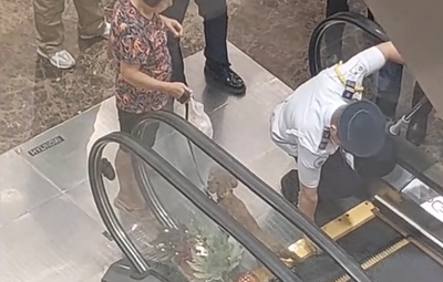 Dog's Paws Stuck on Philippines Mall Escalator Results in Amputated Legs