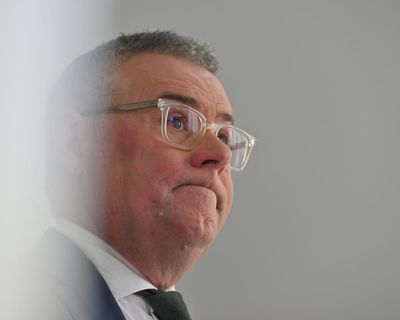 Labor’s attempts to woo Greens and Coalition on nature laws revealed amid criticism of ‘coin toss’