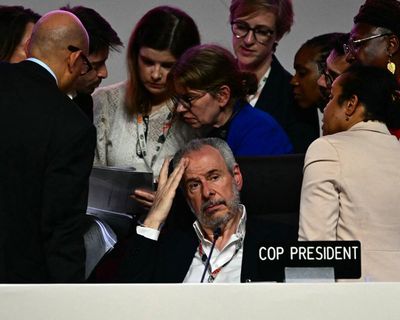 ‘Fossil fuel giants finally in the crosshairs’: Cop30 avoids total failure with last-ditch deal