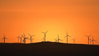 Australia needs a 'wind farm every month' to meet goals