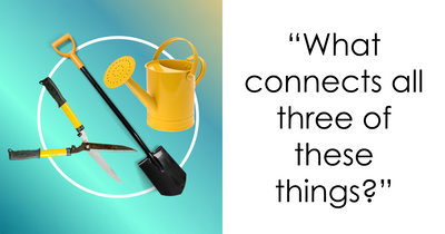 “Think You Can Spot The Connection?”: Type All 28 Answers That Link These Things Together