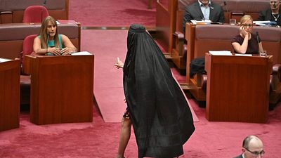 Australian senator Pauline Hanson suspended for wearing burqa in parliament
