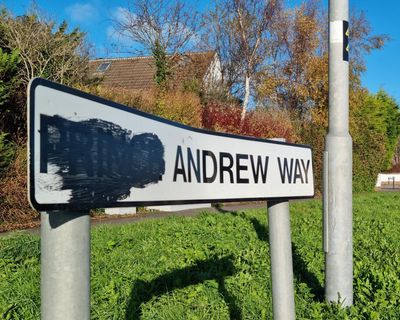 ‘Long overdue’: Northern Irish council votes to rename Prince Andrew Way
