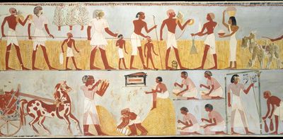 The real reason states first emerged thousands of years ago – new research