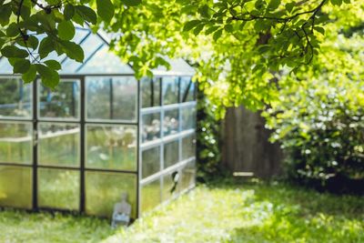 How to Put Your Garden on “Rest Mode” Without Neglecting It