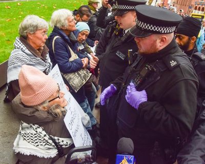 Removal of judge in Palestine Action ban legal challenge ‘deeply concerning’