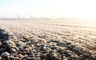Why You Need to Check Soil Drainage Before the First Freeze