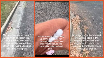 Neighbor from hell tries to poison dogs with toxic mothballs, proving that some people shouldn’t share a planet with the rest of us