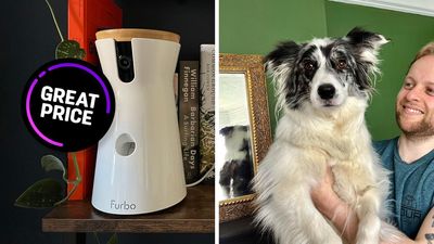 My dog’s a mischievous little imp. I can save 84% on this 360 pet camera and keep tabs on her while I’m out