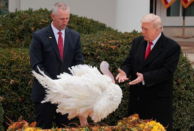 Trump pardons Thanksgiving turkeys with digs at Biden, Schumer and Pelosi - Roll Call