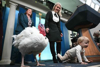 Karoline Leavitt’s son meets turkey before it is pardoned by Trump
