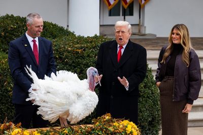 Gobble-degook: Trump talks turkey and trashes another presidential tradition